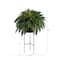 51" Boston Fern Plant in Black Planter with Stand